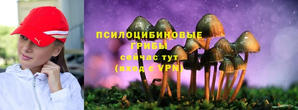 MESCALINE Алзамай