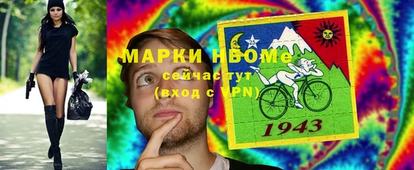 мет Алексин