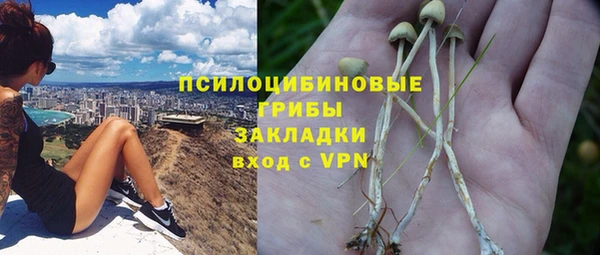 твердый Алексеевка