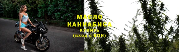 мет Алексин