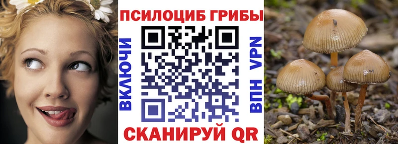 Галлюциногенные грибы Cubensis где продают наркотики Приморск